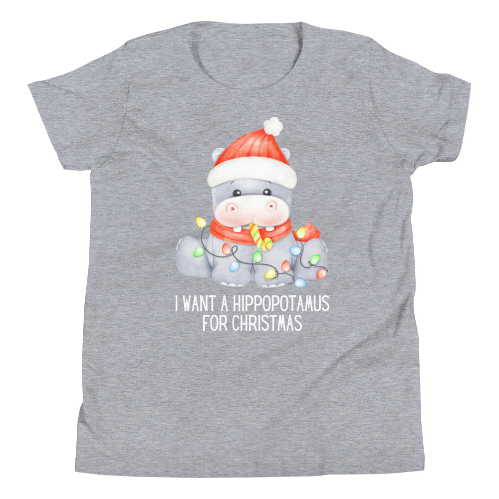 Hippopotamus For Christmas Youth Short Sleeve T-Shirt