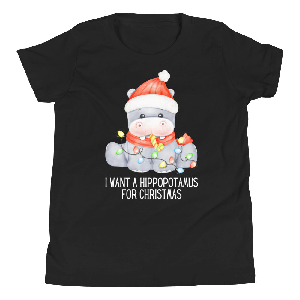 Hippopotamus For Christmas Youth Short Sleeve T-Shirt