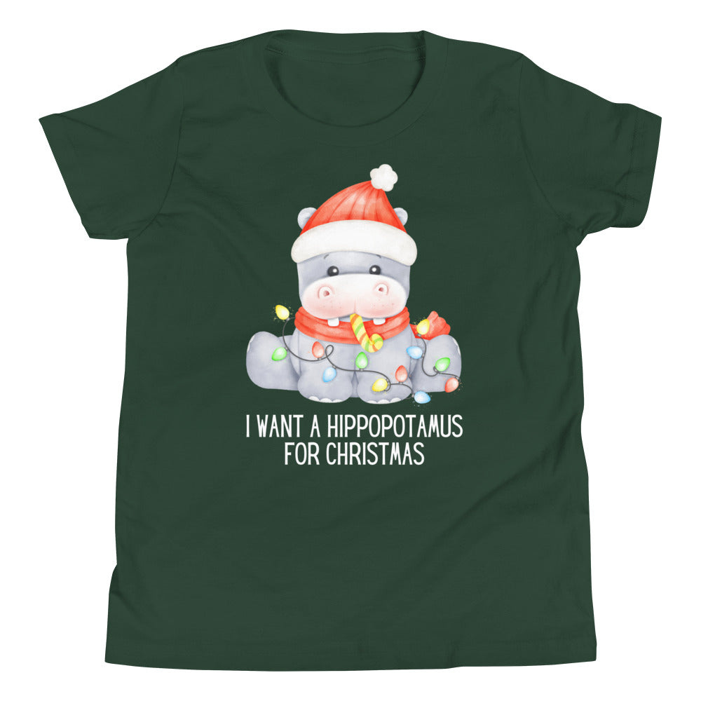 Hippopotamus For Christmas Youth Short Sleeve T-Shirt